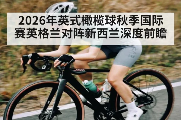 2026年英式橄榄球秋季国际赛英格兰对阵新西兰深度前瞻
